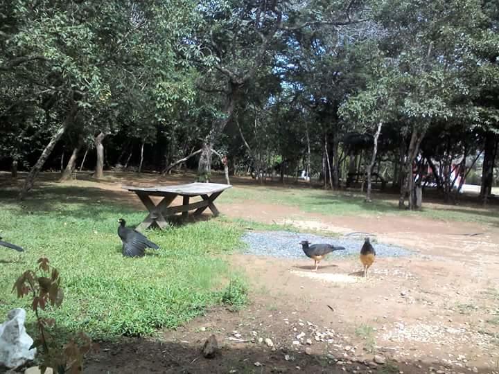 Pousada E Camping Aldeia Da Lua São Jorge Exterior foto